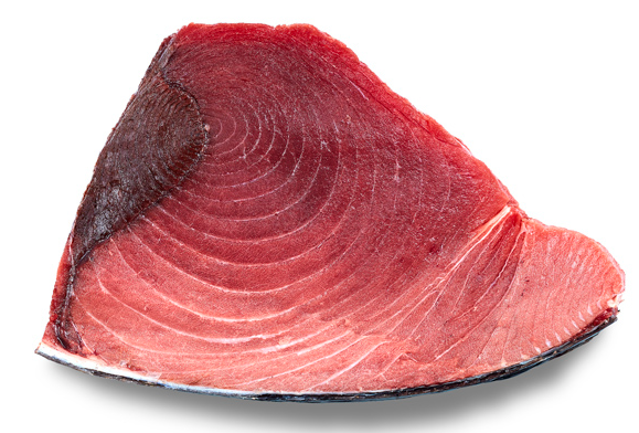 Atum-albacora · Thunnus albacares Atum-albacora · Thunnus albacares